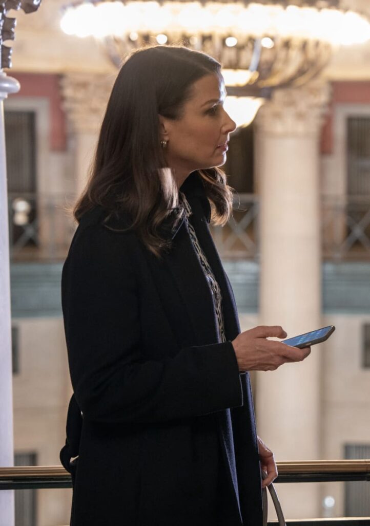 Prosecuting a Murder - Blue Bloods Season 13 Episode 13