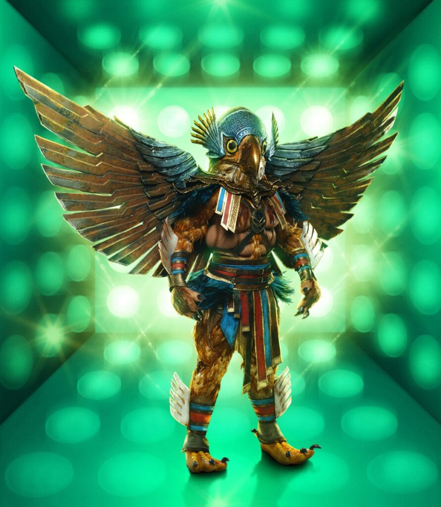 Hawk on Masked Singer