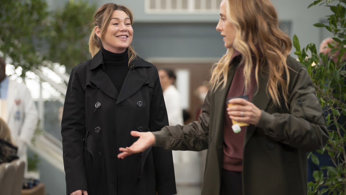 Grey's Anatomy Renewed For Record-Breaking 21st Season at ABC - TV Fanatic