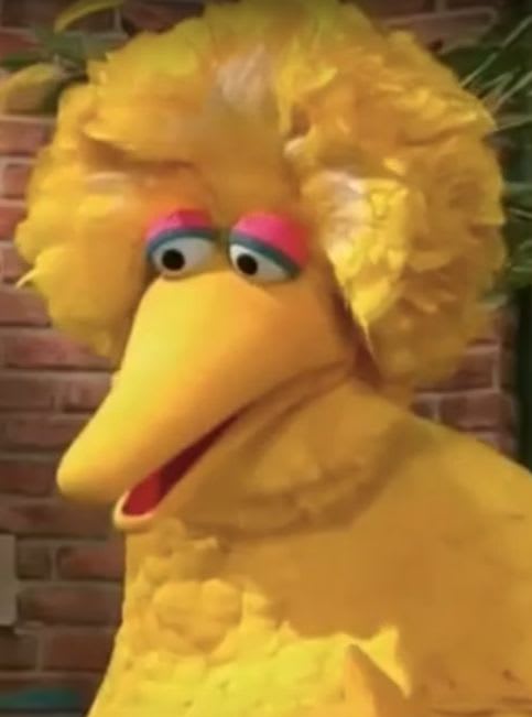 Big Bird on Sesame Street