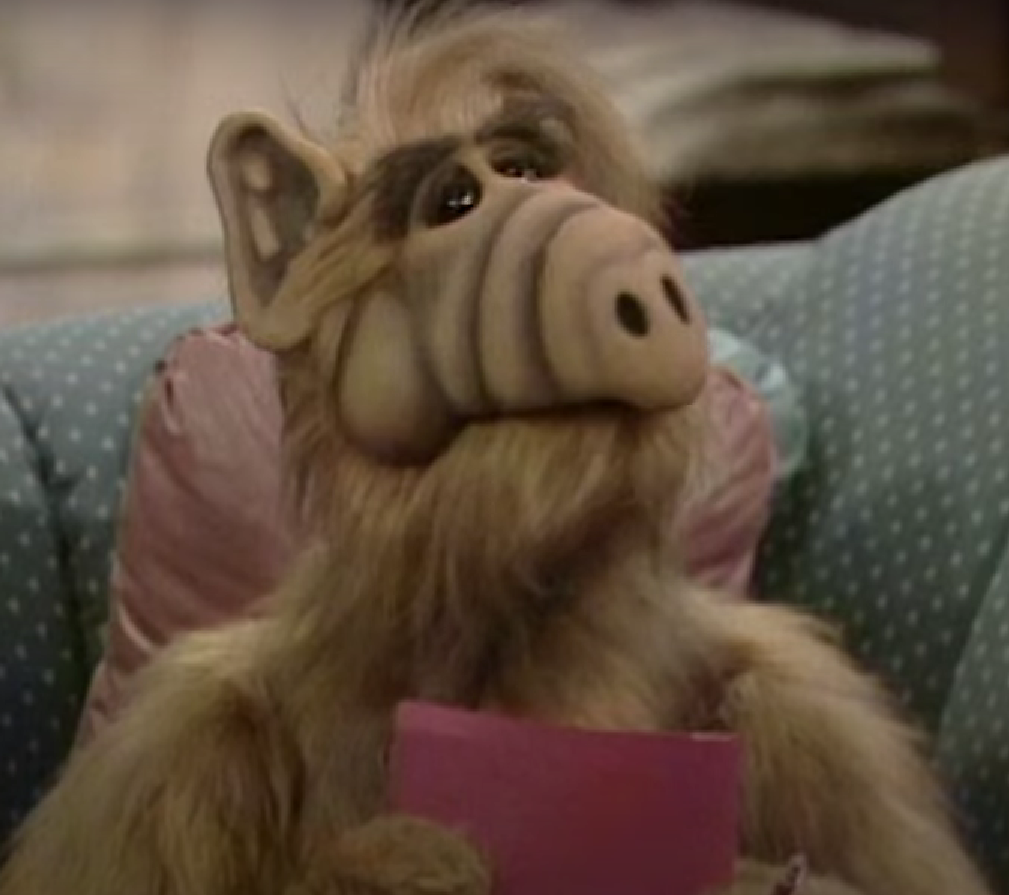 ALF sits on the sofa reading a book