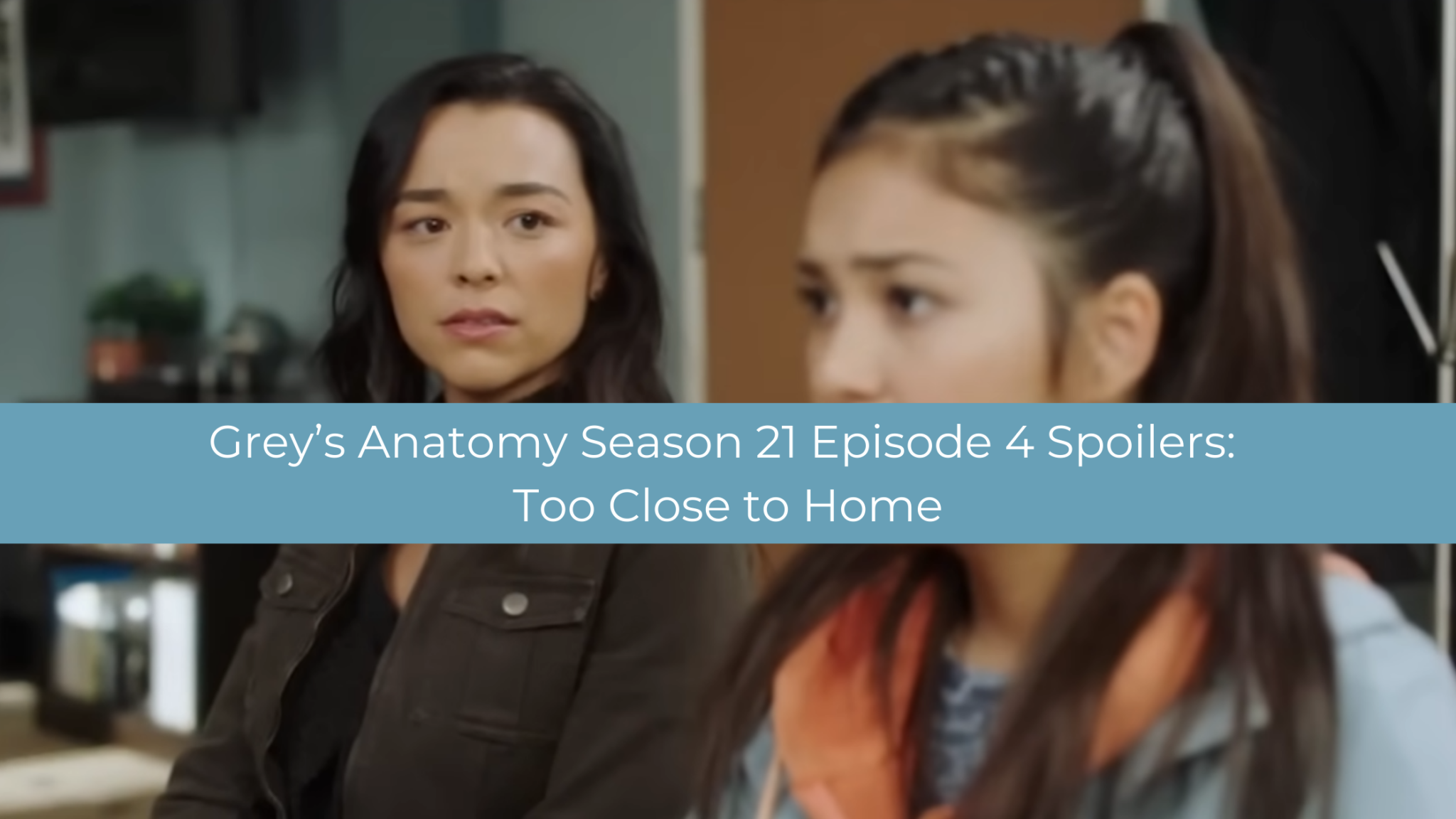 Grey's Anatomy Archives - TV Fanatic