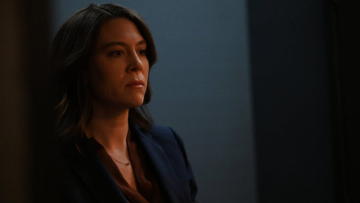 Chicago PD: Can the Real Nina Chapman Please Stand Up?