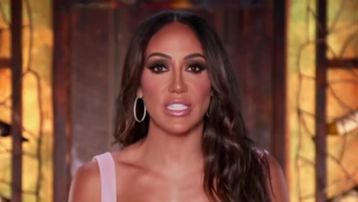 The Real Housewives of New Jersey Isn’t On Bravo’s Fall Lineup, But It Deserves One More Season
