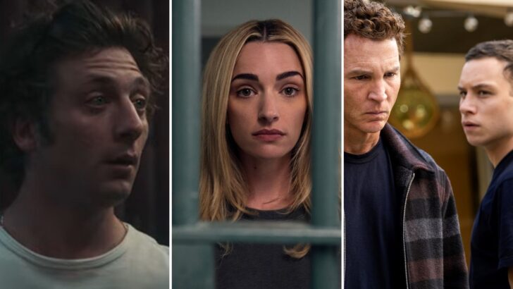 Ginny & Georgia, The Bear, Animal Kingdom: How TV Is Getting Generational Trauma Right