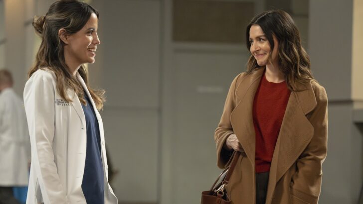 Stop Stalling, Start Shipping: Grey’s Anatomy Needs to Deliver on Amelia & Monica