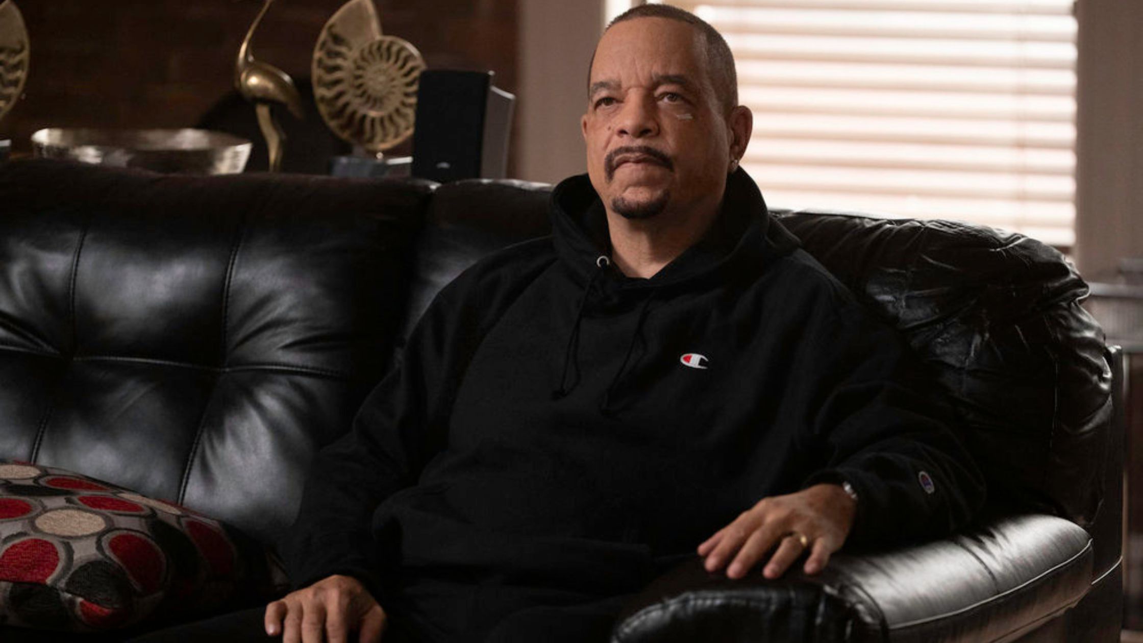 Fin sits on a couch talking to someone offscreen on Law & Order: SVU Season 27 Episode 3