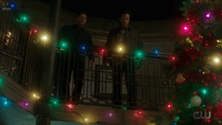 Last Holiday (Season 15, Episode 14)