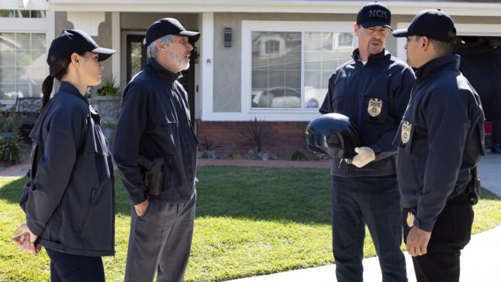 NCIS Season 16 Episode 22 Recap: and Executioner - TV Fanatic