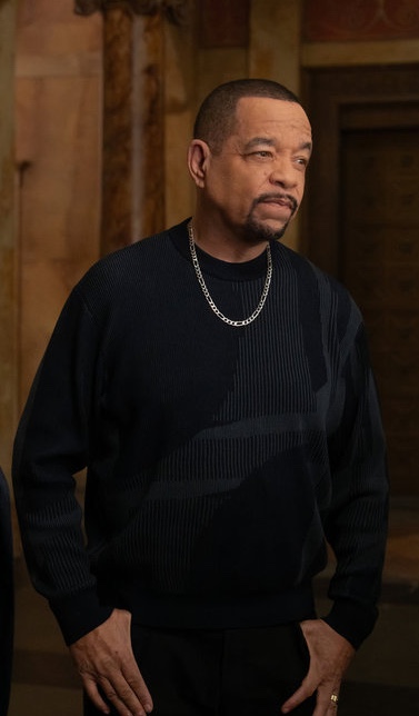 Is Fin back on SVU Season 27 Episode 10?