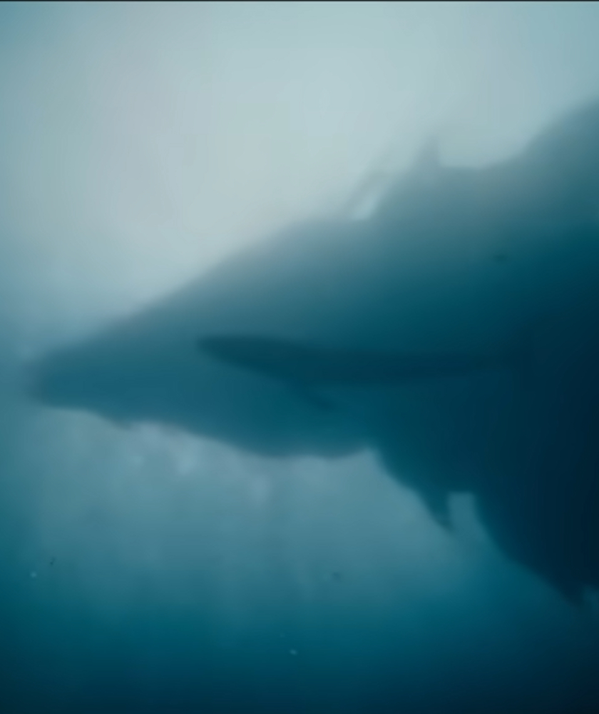 Monarch: Legacy of Monsters