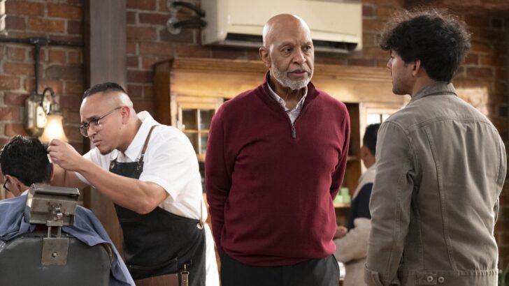 Grey’s Anatomy Season 22 Episode 15 Captures Heart with Webber’s Arc