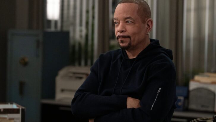 Law & Order: SVU Is Bringing Fin Back for Season 28, But I Have One Big Concern